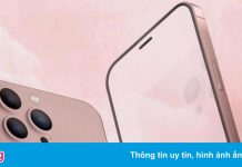Bản dựng tin đồn của iPhone 2022, loại bỏ khuyết đỉnh