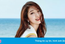 Sự nghiệp ca hát dang dở của Park Shin Hye, Yoo In Na