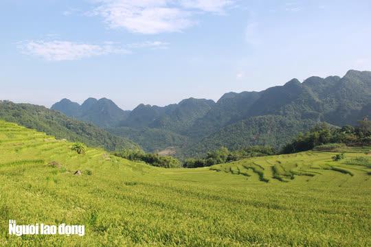 Vẻ đẹp mê mẩn mùa vàng ở Pù Luông - Sa Pa của xứ Thanh - 5