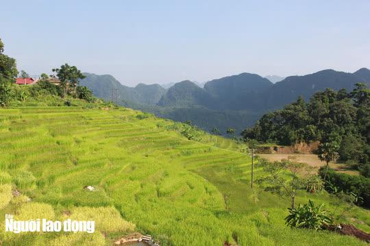 Vẻ đẹp mê mẩn mùa vàng ở Pù Luông - Sa Pa của xứ Thanh - 12