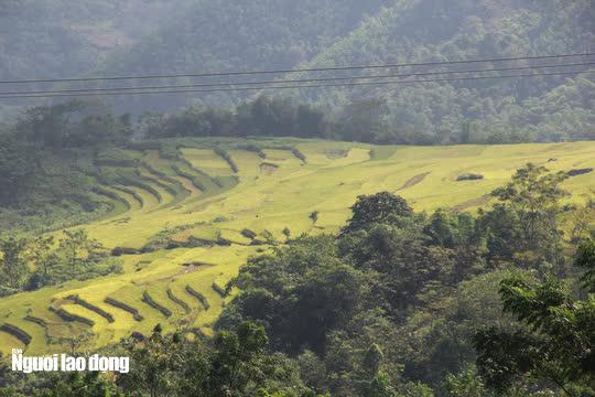 Vẻ đẹp mê mẩn mùa vàng ở Pù Luông - Sa Pa của xứ Thanh - 11