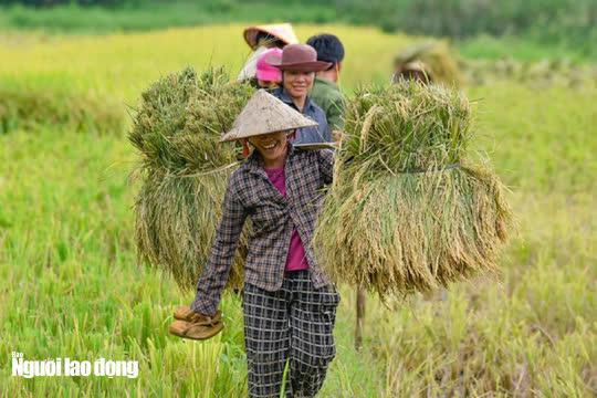 Vẻ đẹp mê mẩn mùa vàng ở Pù Luông - Sa Pa của xứ Thanh - 15