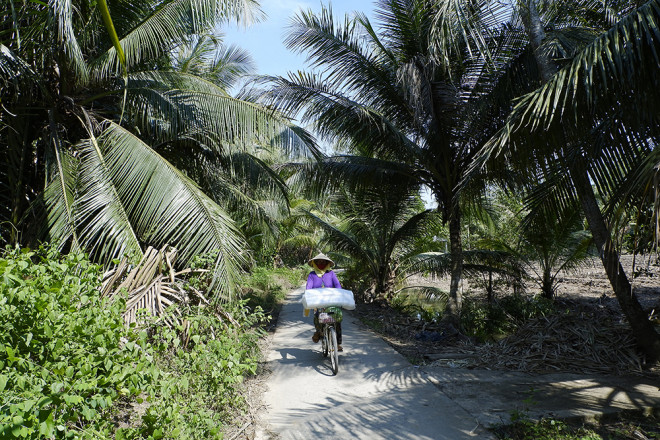 Hành trình kì thú khám phá xứ chùa vàng, kho bạc của nhà vua - 9