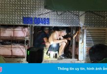 4 người trốn trong thùng xe chở lợn để vượt chốt kiểm soát dịch