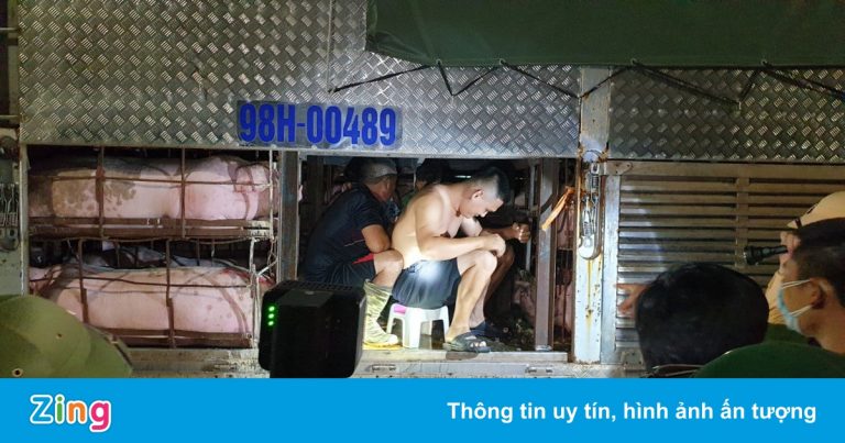 4 người trốn trong thùng xe chở lợn để vượt chốt kiểm soát dịch