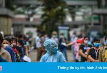 CDC Hà Nội: Ổ dịch ở huyện Quốc Oai rất phức tạp