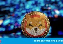 Lý do giá coin Shiba Inu tăng liên tục
