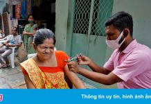 Ấn Độ hoãn giao hàng sau khi WHO ‘không vội’ phê duyệt vaccine nội địa