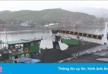 Bắt khẩn cấp 4 cán bộ Công ty Tuyển than Hòn Gai