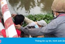 Cứu người gặp nạn, 12 người trở thành F1