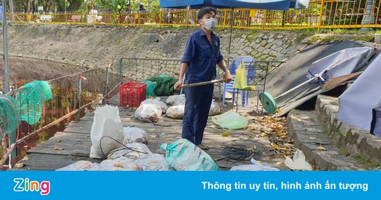 Cá chết hàng loạt trong công viên ở TP.HCM