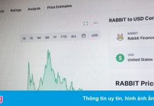 ‘Coin con thỏ’ tăng 58 lần sau bài đăng của Elon Musk