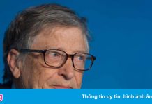 Bill Gates từng gửi thư ve vãn nhân viên nữ