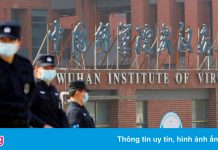 WHO lập đội chuyên gia mới, quyết truy tìm nguồn gốc Covid-19