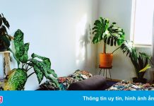 Lựa chọn của người thuê chung cư ở TP.HCM khi chủ nhà tăng giá
