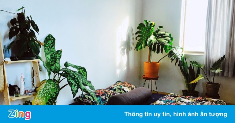 Lựa chọn của người thuê chung cư ở TP.HCM khi chủ nhà tăng giá