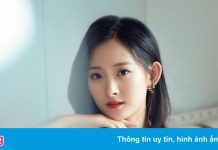 Hợp đồng tiết lộ mặt tối showbiz Trung Quốc