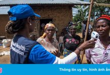 EU cắt tài trợ chương trình của WHO ở CHDC Congo vì bê bối tình dục