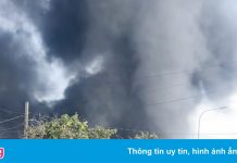 Cháy nhà xưởng chứa hải sản ở TP.HCM, 2 xe tải bị thiêu rụi