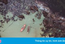 Vé khứ hồi đi Phú Quốc từ TP.HCM giá 1,2 triệu đồng đầu tháng 11