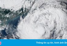 Vì sao bão dồn dập xuất hiện ở Biển Đông?