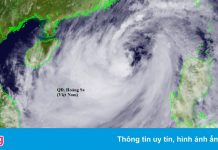 Phó thủ tướng: Chỉ còn 24 giờ để ứng phó bão số 8