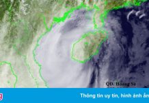 Bão số 8 vào vịnh Bắc Bộ đêm nay
