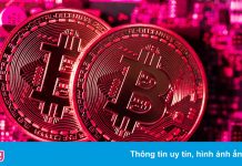 Tiền mã hóa có thể gây thảm họa tài chính tương tự năm 2008?