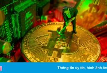 Số Bitcoin ‘ngủ quên’ giá 4 USD đã trở thành 3,1 triệu USD sau 11 năm
