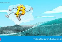 Tỷ lệ ‘cá voi’ nắm giữ Bitcoin cao nhất trong lịch sử