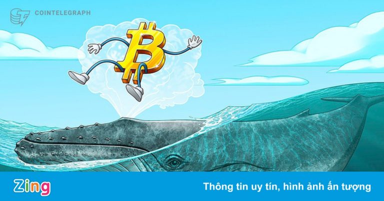 Tỷ lệ ‘cá voi’ nắm giữ Bitcoin cao nhất trong lịch sử