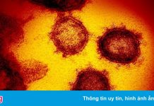 Mỹ giải mật tài liệu tình báo về điều tra nguồn gốc Covid-19