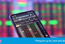 Nhà đầu tư ngoại thu gom cổ phiếu nào trong tuần VN-Index vượt đỉnh?