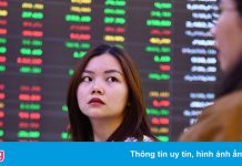 Cổ phiếu dầu khí bứt phá, VN-Index vẫn mất 7 điểm