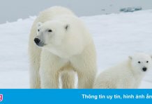 Ngưỡng 1,5 độ C là ‘không thể thương lượng’