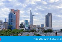 Gần 50% quận, huyện TP.HCM đạt tiêu chí vùng xanh