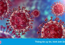 Nghiên cứu khẩn cấp biến chủng Delta Plus trước đợt dịch mới ở Anh