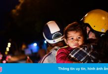 Bỏ phố về quê