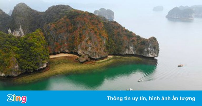 Hải Phòng – Quảng Ninh mở các tour du lịch nội vùng từ tháng 11 Hải Phòng – Quảng Ninh mở các tour du lịch nội vùng từ tháng 11