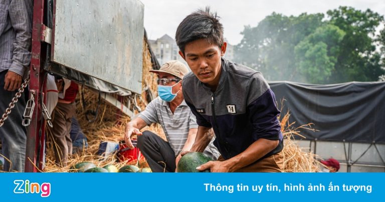 Việt Nam bỏ phí cả trăm triệu tấn vỏ dưa hấu, rơm rạ