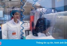 Diễn biến khác thường ở Hồ Bắc trước khi công bố ca nCoV đầu tiên