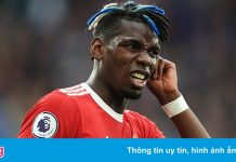 Ferdinand khó chịu khi Pogba chỉ trích HLV Solskjaer