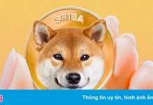 Hồ sơ Shiba Inu, tiền mã hóa vừa vượt mặt Dogecoin