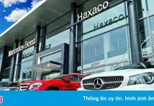 Nhà phân phối Mercedes lớn nhất Việt Nam lỗ kỷ lục