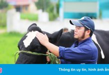 Sữa Mộc Châu lập kỷ lục doanh thu sau khi tăng vốn