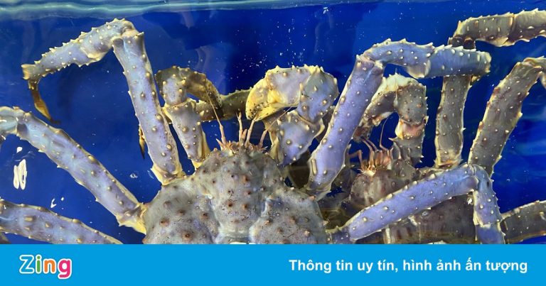 Xuất hiện cua hoàng đế tím nhập khẩu vào Việt Nam