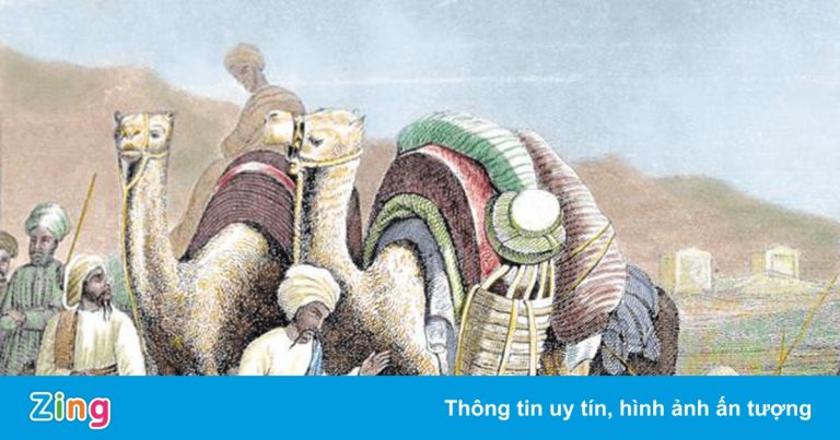 Vì sao con đường tơ lụa là hành trình nguy hiểm? Vì sao con đường tơ lụa là hành trình nguy hiểm?
