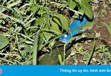 Người đàn ông bị đâm tử vong ở quán nước vỉa hè