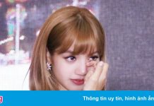 Lisa có đang bị ngược đãi