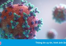 ‘Đại dịch kép’ có xảy ra trong mùa đông sắp tới?